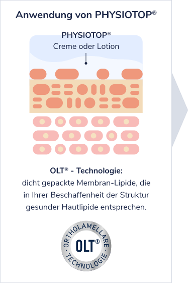 Anwendung Darstellung